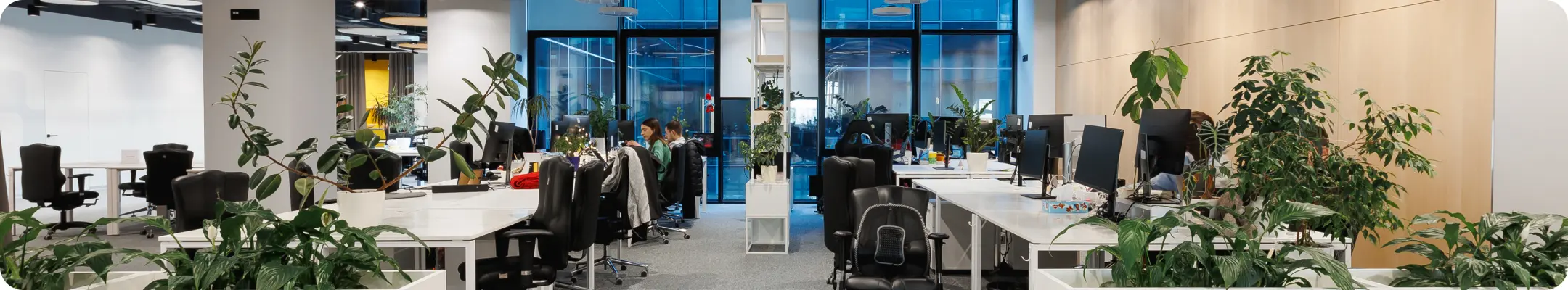 Quarks office